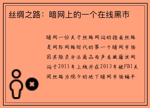 丝绸之路：暗网上的一个在线黑市