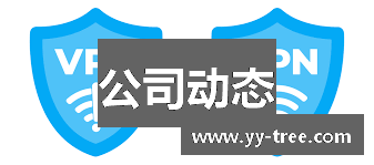 公司动态